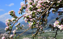 5. Tag: Heimreise 1