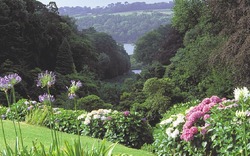 5. Tag: Do, Ausflug Trebah Garden & St. Ives 1